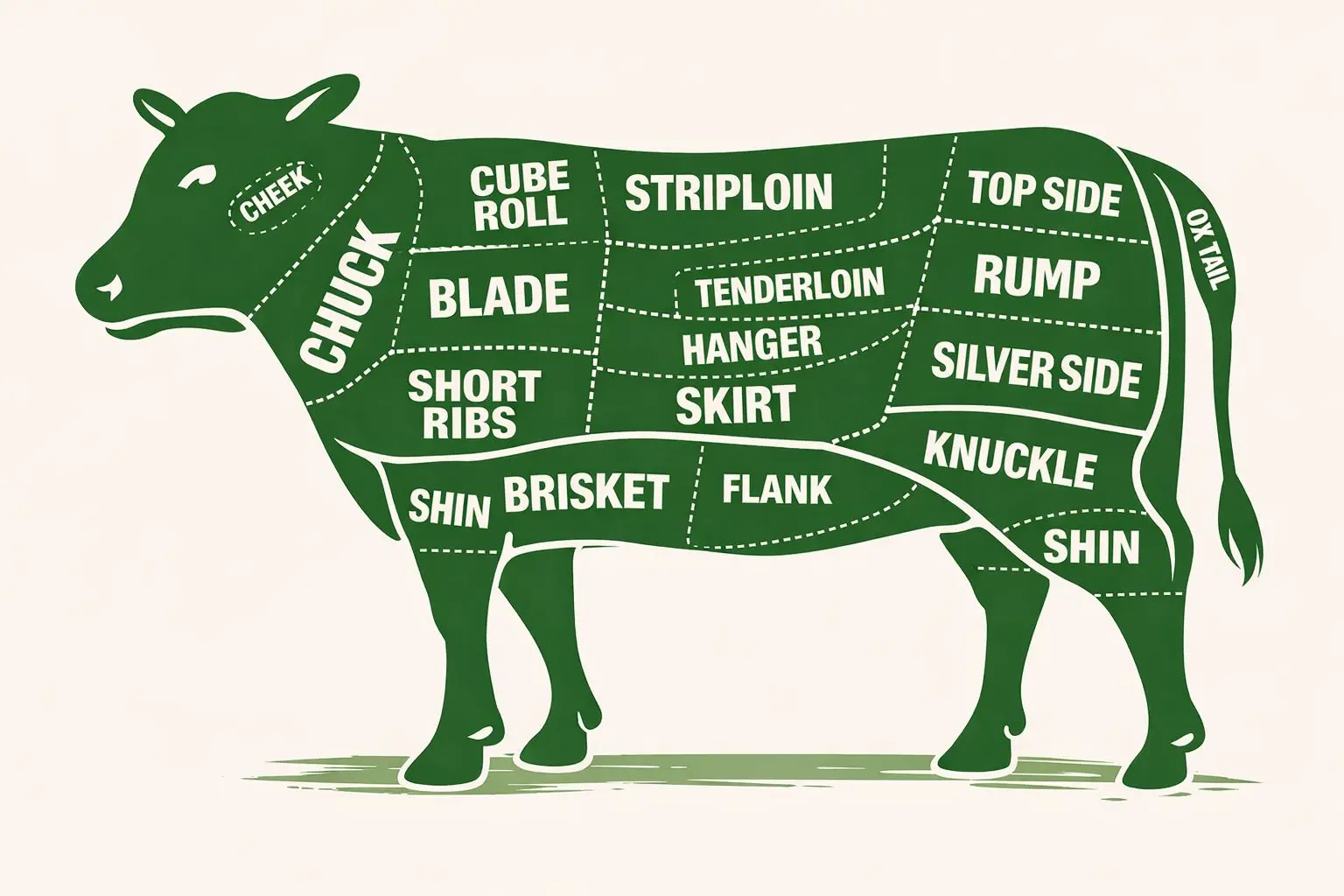 Beef Cuts Diagram