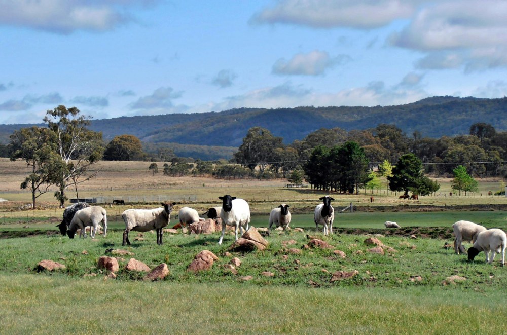 Australian farm