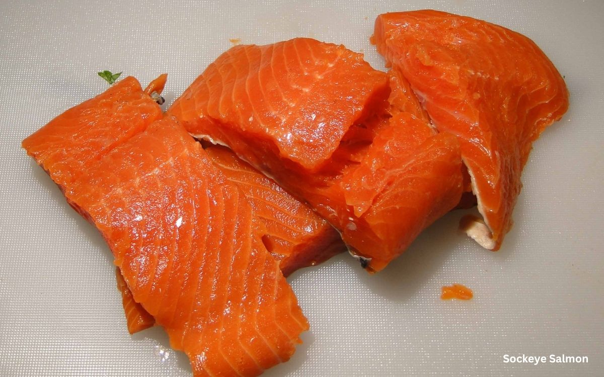 Sockeye Salmon Fillet