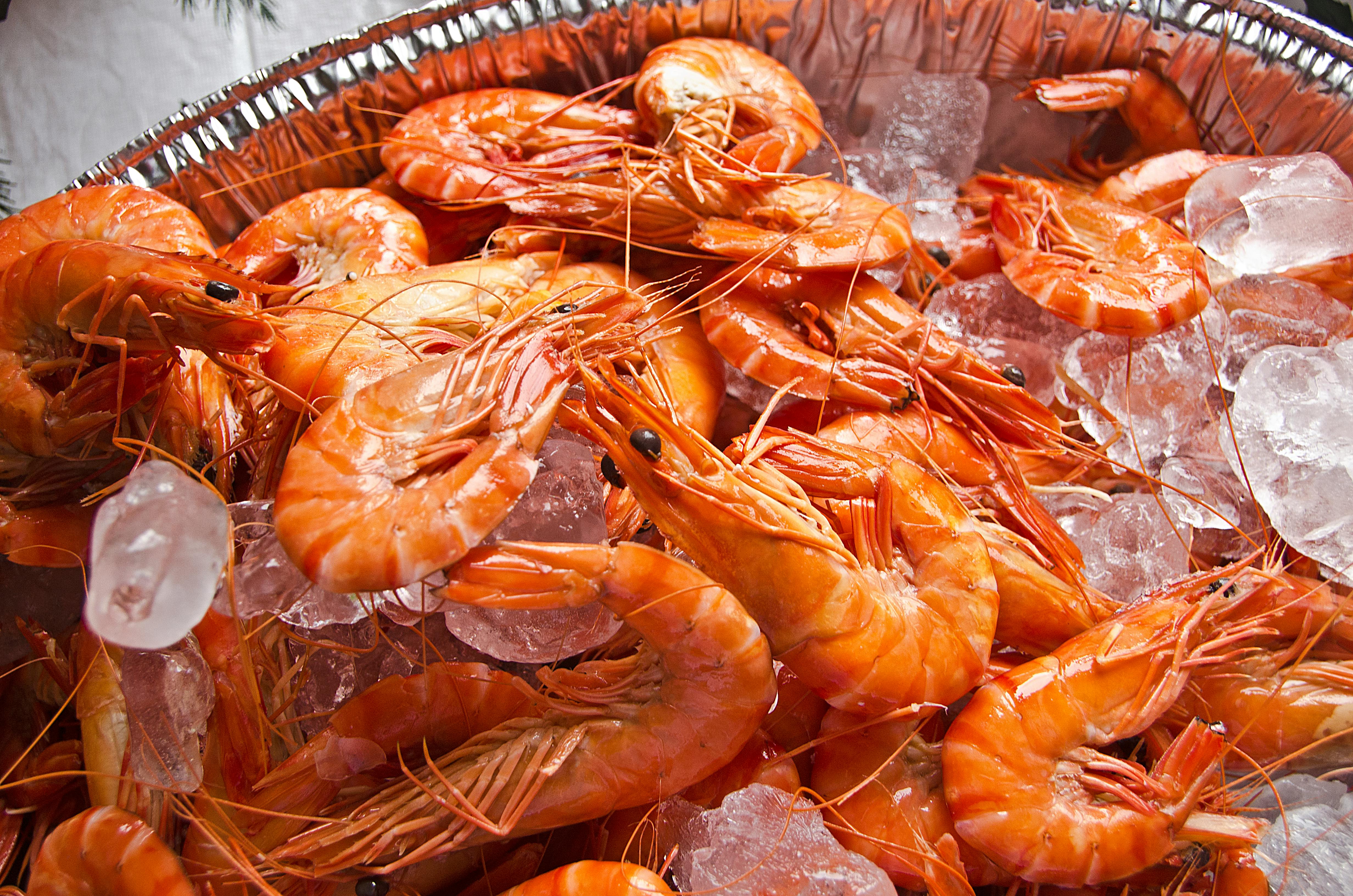 Cooked Australian Prawns