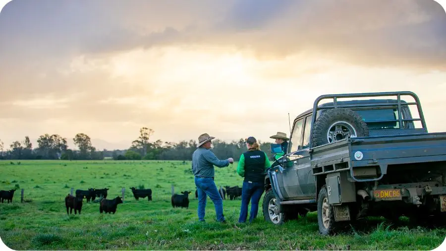 Our Cow Farmers