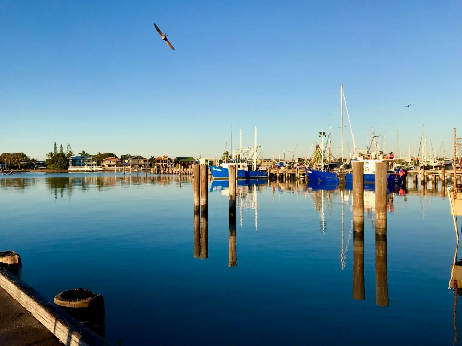 Mooloolaba Fisheries