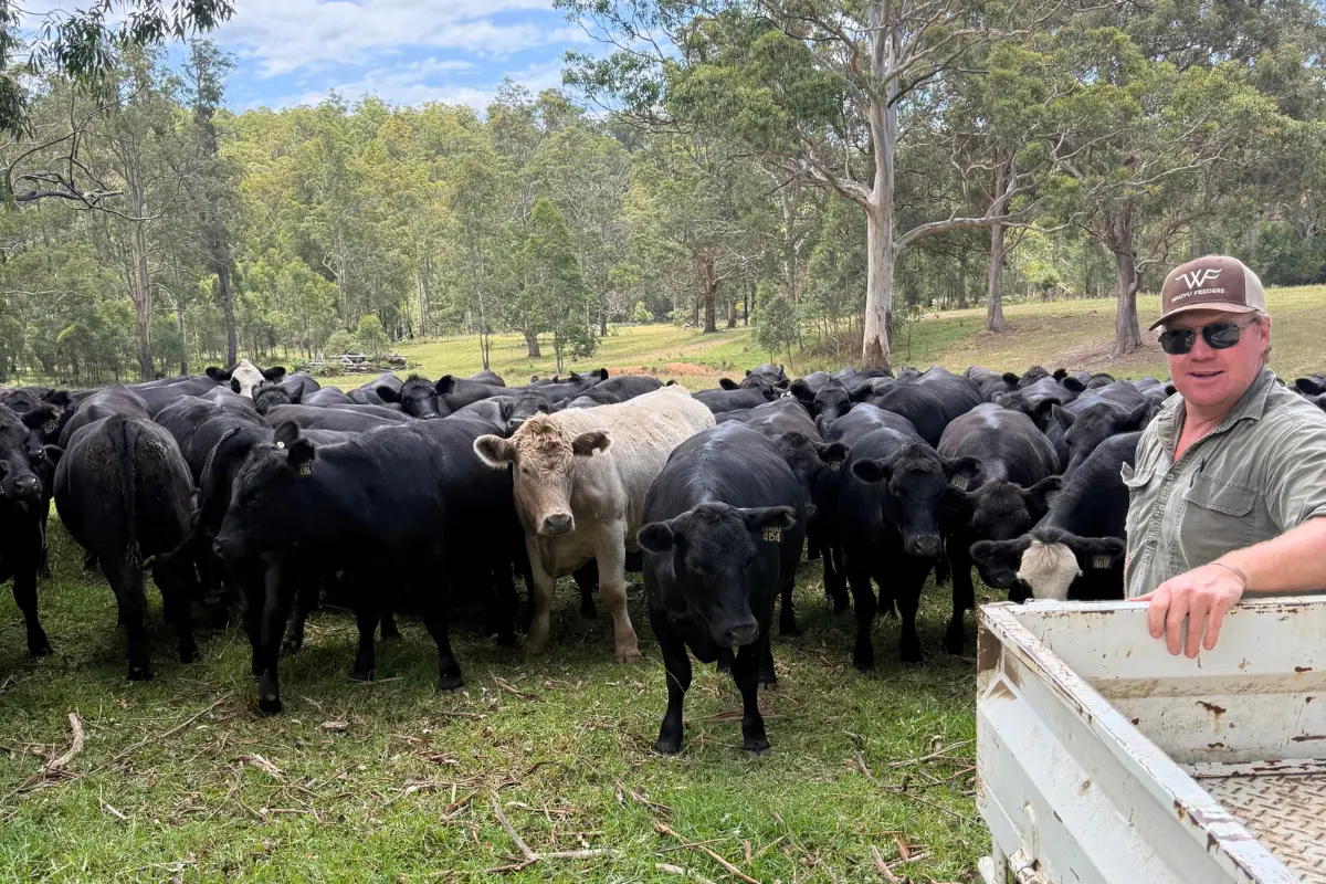 Our Cow Farmers
