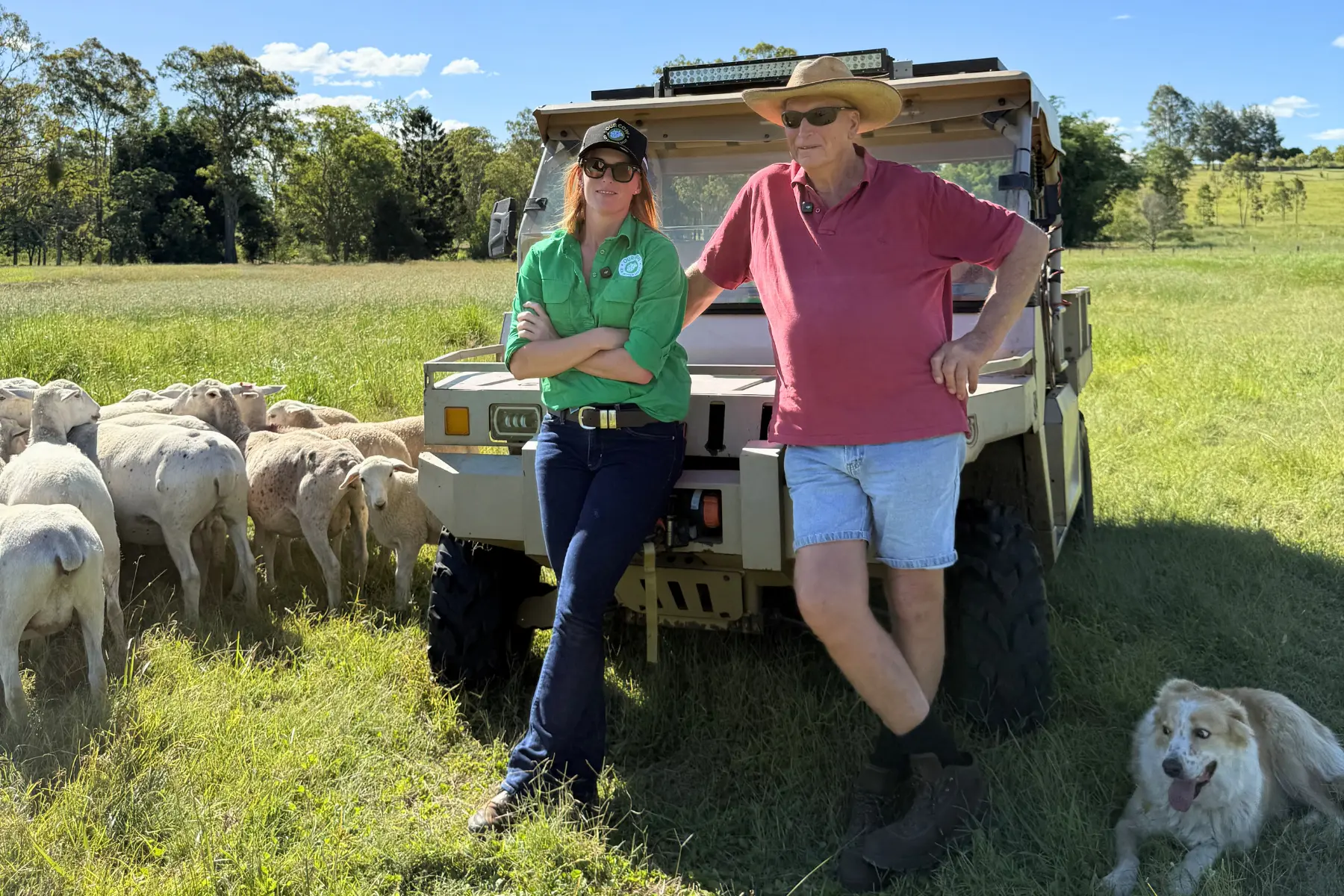 Peter Brown, Lamb Farmer from Casino